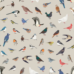 Fototapeta premium Garden birds vector seamless pattern