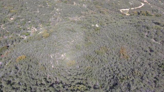 aerial bird's eye view footage of majestic mountain ranges covered with lush green trees, grass and plants with dirt trails at Ortega Falls in Lake Elsinore California USA