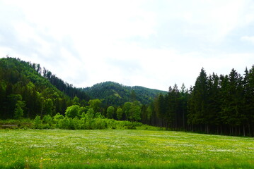 Fototapeta na wymiar steirisches Landschaftsidyll 
