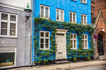 Beautiful ivy house in Copenhagen downtown, traditional Danish architecture, Denmark