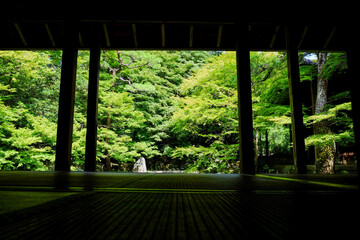 Fototapete bei efototapeten.de bestellen   