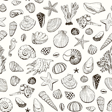 seashells line vector seamless pattern