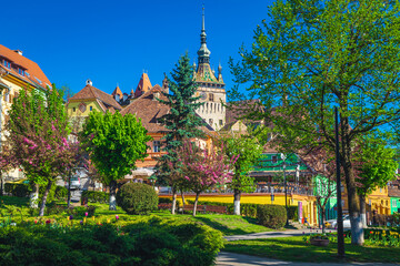 Park with colorful flowery trees in city center, Sighisoara, Romania