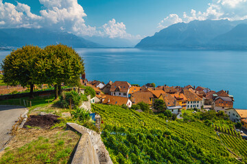 Vineyards and Rivaz village on the shore of lake Geneve