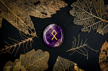 Odal rune. Rune of heritage