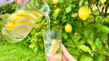 against the background of a lemon tree, lemonade is poured into a glass from a transparent glass jug. High quality photo