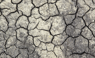 Dry and abandoned land