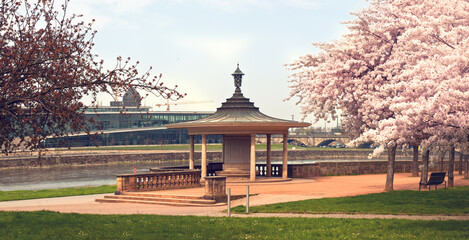 Fototapete bei efototapeten.de bestellen   