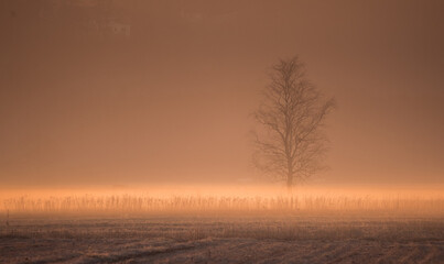 Morning autumn mist in the countryside