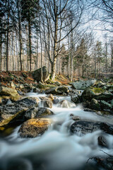 Czech natural reserve called Jizerskohorske buciny,Jizera Mountain Beechwood, on UNESCO List.Unique nature with beech trees,waterfalls,wild streams,rocky lookout points.Long exposure water.