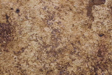 Tan brown marble texture with several irregular layers.