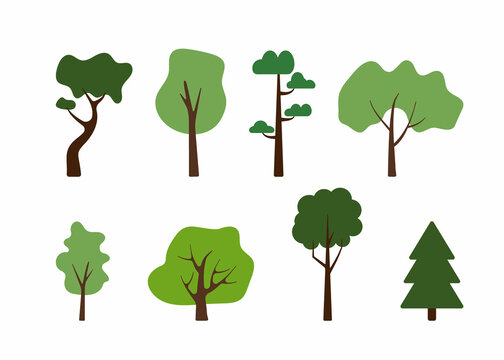 vector flat trees, collection of different trees on white isolated background. nature, elements for the forest