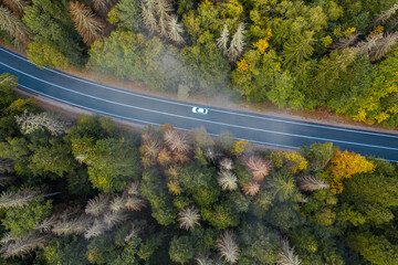 Aerial view of curvy road passing through the autumn forest, top view