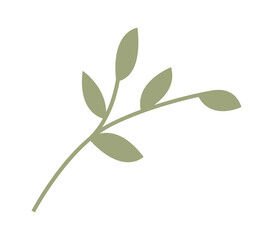 Branch with leaves. Vector illustration