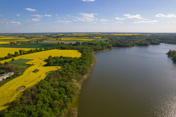 rapeseed fields blooming over the lake