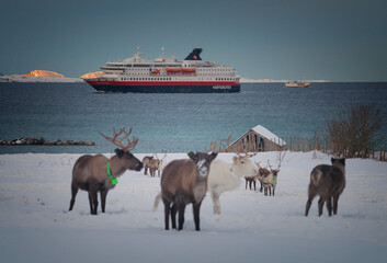 Hurtigruten in Norwegen