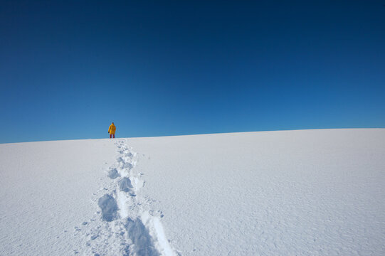 Winterspaziergang, winter,