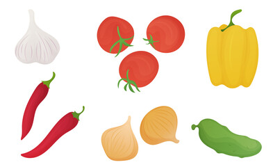 Realistic vegetables on white background. Vector illustration