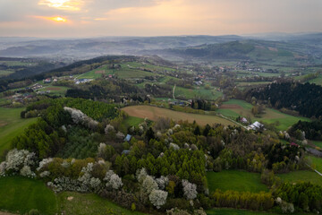 Fototapeta na wymiar Spring Season in Countryside. Drone View on Colorful Trees