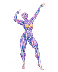female bodybuilder is showing the guns up white background