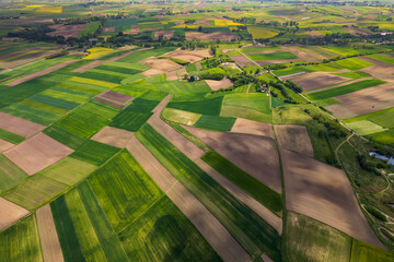 Agriculture Fields Paterns in Rural Countryside. Aerial Drone View