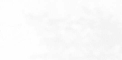 Abstract blurred background. The shadow reflection of leaves and gray light lines. on the white surface concrete wall. for wallpaper, backdrop and design.