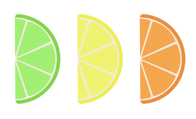 Citrus slices flat vector illustration. Slices of orange, lime, lemon.