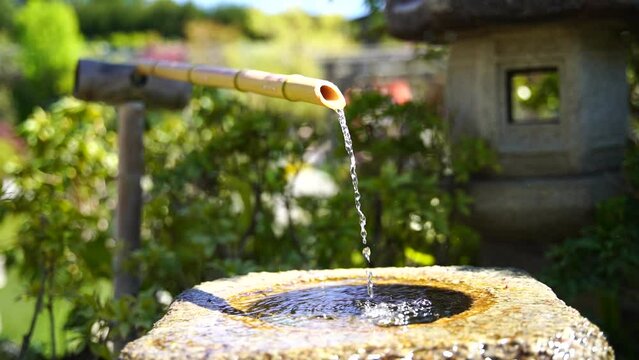 Water flowing of bamboo in traditional Japanese garden. nature background. Fresh water flowing and dripping from a bamboo pipe fauced in japanese garden