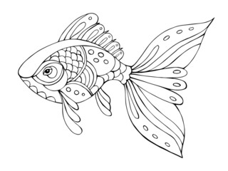 Vector Illustration of hand drawn fish. Black and white vector illustration for coloring book. Beautiful drawings with patterns and small details.