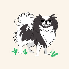 Cute Japanese chin dog breed. Isolated on beige background. Vector flat cartoon illustration