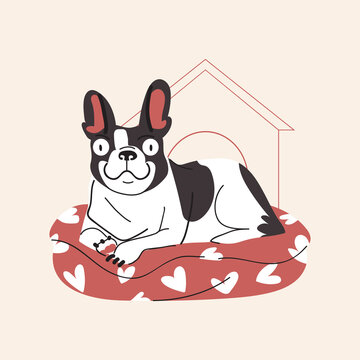 Cute french bulldog vector flat style. Isolated on beige background. Pet happy character illustration