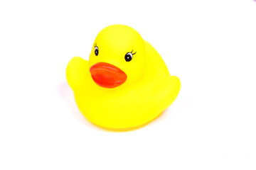 Rubber yellow bath duck isolated on white background