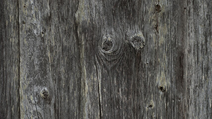 wooden background, old wooden boards in the photo close-up