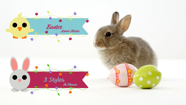 Cute Bright Easter Lower Thirds