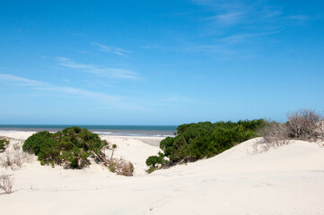 sand dunes on the beach in brazil