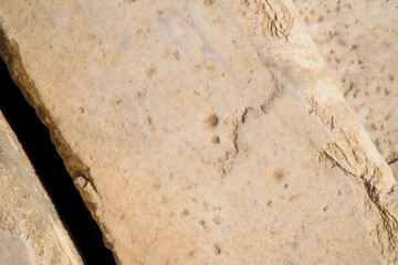 Top down view of flat ancient stone.