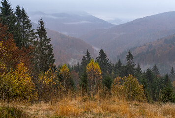 Fototapeta na wymiar Cloudy and foggy early morning autumn mountains scene. Peaceful picturesque traveling, seasonal, nature and countryside beauty concept scene. Carpathian Mountains, Ukraine.