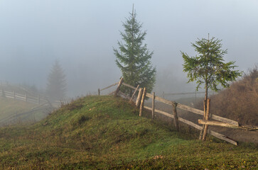 Cloudy and foggy morning late autumn mountains scene. Peaceful picturesque traveling, seasonal, nature and countryside beauty concept scene. Carpathian Mountains, Ukraine.