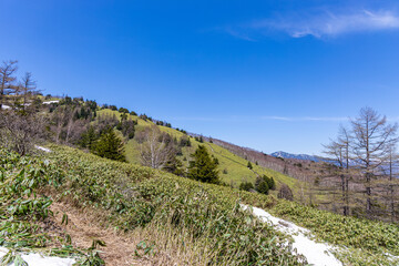 遊歩道から見た芳ヶ平方面