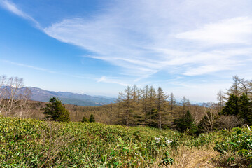 遊歩道から見た芳ヶ平方面