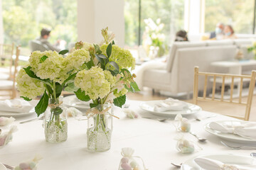 hortensias en casa