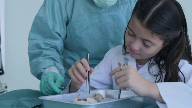 Education concept of 4k Resolution. Researchers are dissecting frogs in a lab. teaching students. physical examination.