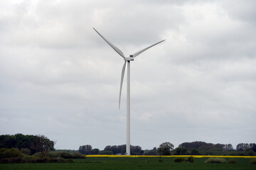 Obraz premium Wind turbine with cloudy sky in a canola field on the Swedish countryside in Sweden. Selective focus.