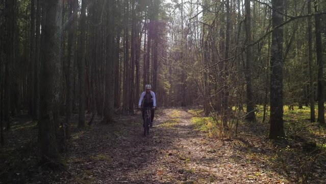  cyclist on a mountain bike rides through the forest on a sunny day