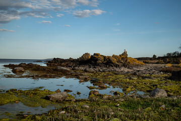 rocks and sea on the coast of bornholm in the baltic sea near the city allinge