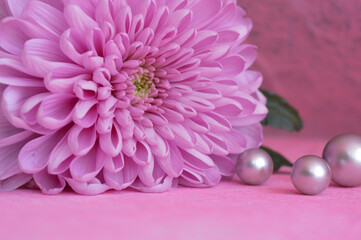 Arrière plan de fleur rose