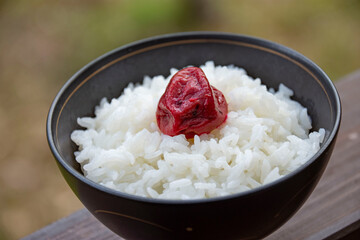 御飯と梅干し