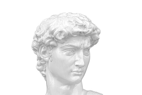 Head of Michelangelo's David Sculpture  isolated on white background. 3D illustration.