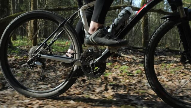  close-up. a cyclist on a mountain bike rides through the forest on a sunny day