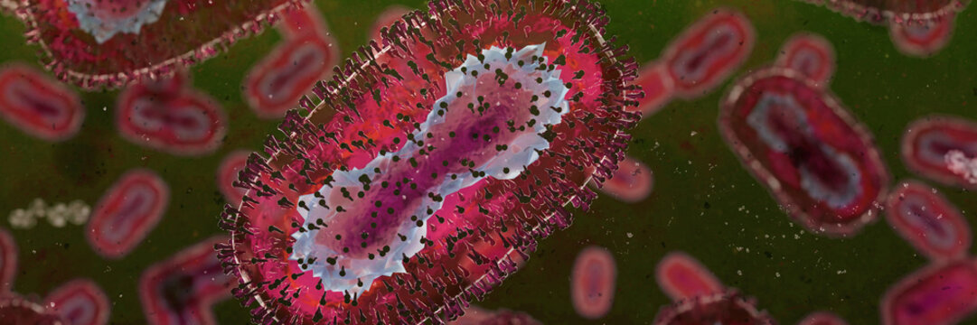 Monkeypox viruses, microscopic pathogen closeup, infectious zoonotic disease, background banner format with empty space